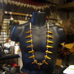 Buffalo Horn Tip Necklace