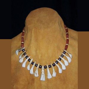 Native American Buffalo Tooth Necklace