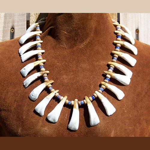 Antique Brown Buffalo Teeth Turquoise and Bone Hair Pipe Beaded Necklace Tooth 
